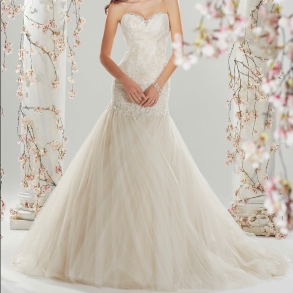 NWT Sophia Tolli wedding gown